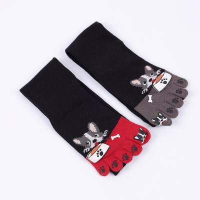 China Anti-Bacterial Professional socks wholesale oem odm thigh high socks children's five-toed funny socks for sale