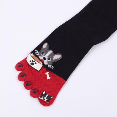 China Antibacterial Comfortable Cotton Dyeing Logo Socks For Baby Puppy Plush Fashion Socks For Autumn And Winter for sale