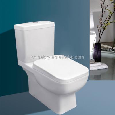 China Bathroom Sanitary Indian Toiletries New Double-Flow Ware Design for sale