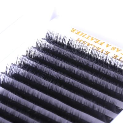 China Natural Long New Design False Eyelashes Tightly Lined Grafted Eyelashes Blooming Eyelashes for sale