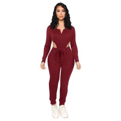 China 2021 QUICK DRY Autumn Casual Set Two Piece Set Women Clothing Plain V-Neck Tracksuits 2 Piece Set Women for sale