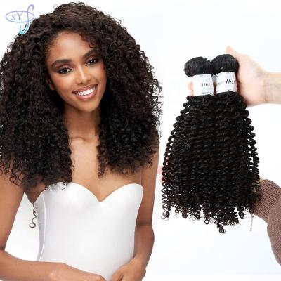 China XYS Hair Vendors Cheap Deep Curly High Quality Cuticle Aligned Hair Extensions , Double Drawn Bundles Lady Raw Virgin Brazilian Hair for sale