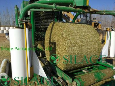 China HDPE White Bale Wrap Net With Green Line for sale