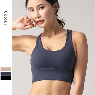 China White Yoga Top Delivery Logo Workout Seamless Woman Padded Sports Gym Bra Custom Fitness Breathable Stomach Fast Fitness for sale