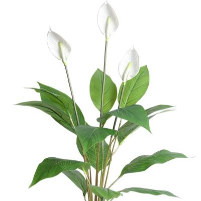 China Plastic Artificial Peace Lily Plant Peace Lily Flower White Flowers for sale