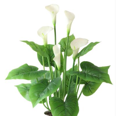 China High Quality Real Calla Lilies Artificial Calla Lilies Artificial Flowers Plastic Touch for sale