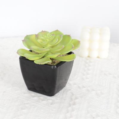 China Wholesale Plastic Succulent Mini Artificial Succulent Arrangement Plastic Material For Succulent Potted Plant Alocasia for sale