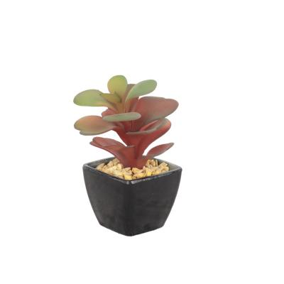 China Mather's Day Gift / Holiday / Christmas Day Decoratiom / Potted Meat Desert Table Decoration Wholesale Home Decoration Small Artificial Plants Rose Succulent for sale