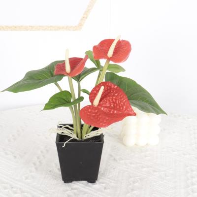 China Modern PVC Real Touch Anthurium Plant Potting Artificial Bonsai Trees For Home Decoration for sale