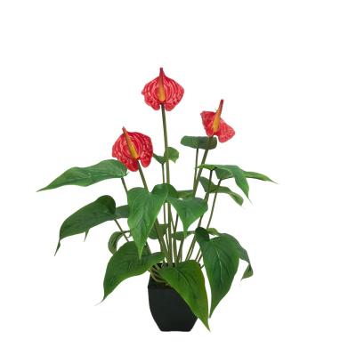 China Wholesale Natural Artificial Anthurium Plant Plastic Anthurium Flowers For Home Decoration for sale