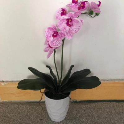 China Factory Wholesale Artificial Orchid Orchid Party/Arts and Crafts/Decoration Orchid/Holiday Home/Christmas Day Potted Bush Latex Orchid for sale