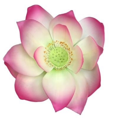 China Premium Outdoor Artificial Rubber Decoration Eco - Friendly Rose Artificial Flowers for sale