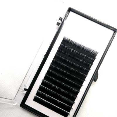 China Custom 0.03mm 20mm Thick Soft Natural Black Professional Silk Lashes 25mm Different Premade Eyelash Extensions for sale