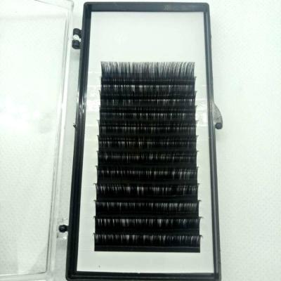 China Thick Pre Made Since C D CC Dual Density J Loop Korean Eyelash Extensions Private Label Synthetic Hair Faux Mink Silk Eyelash Extension Trays for sale