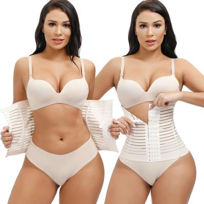 China Breathable Women Waist Cinchers Ladies Corset Shaper Band Bodybuilding Body Shaper Waist Trainer for sale