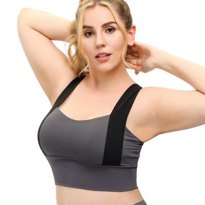 China New Design Bralette Yoga Vest Sports Gym Antibacterial Seamless Top Current High Impact Push Up Sports Training Bras For Women for sale