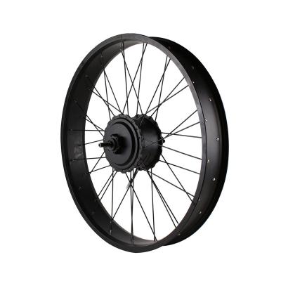 China European style 36V 48V 350W hot seller 500W front or rear wheel fat tire electric bike kits 135-190mm for sale