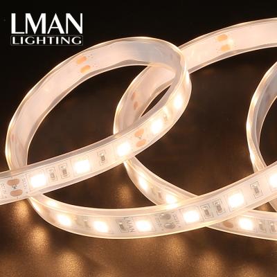 China Easy installation silicone tube IP65 SMD5050 60leds/m 10mm width 950lm/m DC12V/24V 10W led strip light for sale