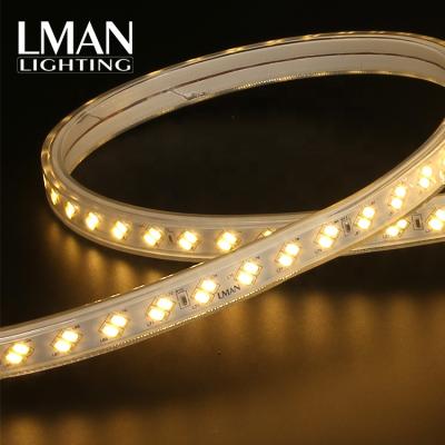 China Easy Installation Silicone Tube 120leds/m Outdoor Waterproof IP65 AC 110V 220V SMD 5730 Led Strip Light for sale