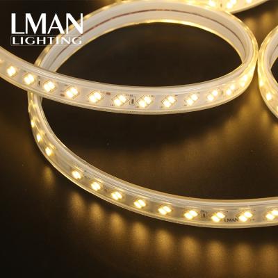 China High Quality Easy Installation Waterproof IP65 AC 110V 220V SMD 5730 120leds/m Led Strip Light for sale