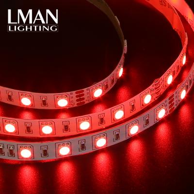 China Easy Installation High Quality Affordable Cable SMD 5050 60leds/m 10mm Width DC 12V 24V 10W RGB Led Strip Light for sale