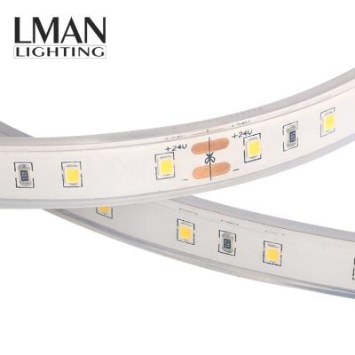 China Easy Installation Silicone Injection 8mm Width SMD2835 Waterproof IP68 DC 12V 24V 4.8W Led Strip Light for sale