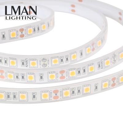 China Easy Installation Guzhen Factory CE RoHS SMD 5050 950lm/m 60Leds/m 10w Waterproof IP68 Led Strip Light for sale