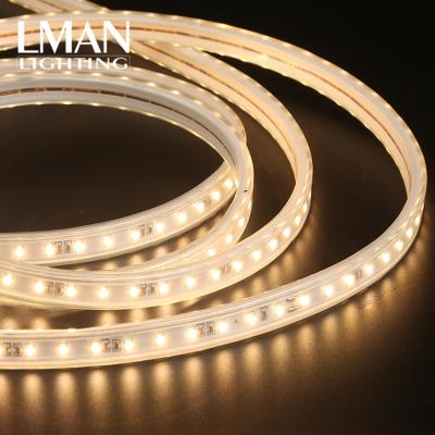 China Easy installation AC 110V 220V SMD 2835 72leds/m IC new products outdoor waterproof ip65 led strip light for sale