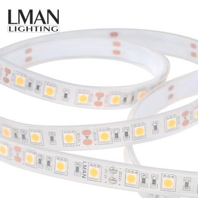 China Easy Installation IP68 Cuttable Waterproof DC 12v 2v Smd 5050 Chip Strip Lamp Outdoor Led 60leds/m 10mm Width for sale