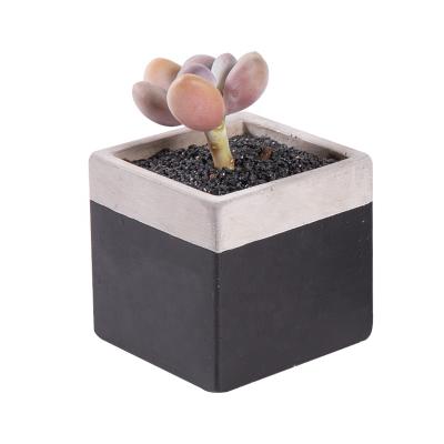 China Hot Sale Modern High Quality Rectangular Cement Succulent Flower Pot for sale