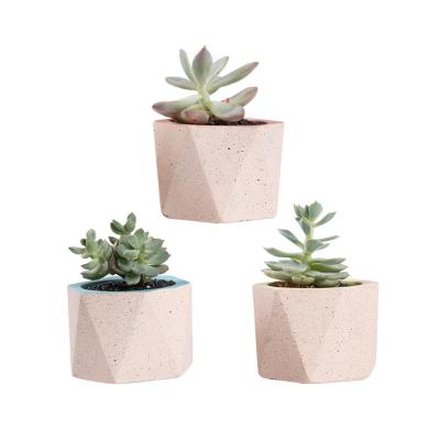 China Modern Profession Design Making Creative Cement Succulent Flower Pot For Decorative for sale