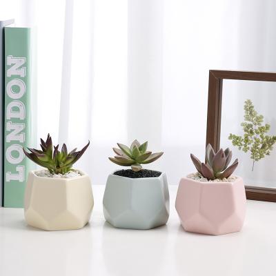 China Nordic Style Eco-friendly Indoor Colorful Ceramic Hexagon Plant Pots Small Cactus Succulent Pots for sale