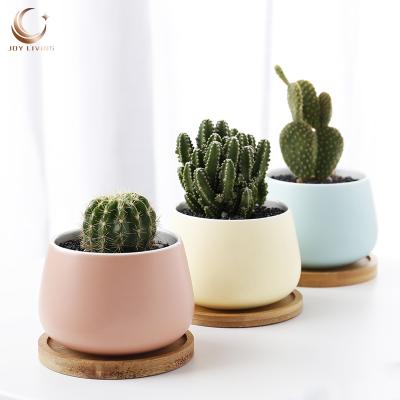 China Modern Garden Supplies Indoor Planter High Quality Mixed Color Matte Glazed Small Ceramic Pots For Succulent Plants With Bamboo Saucers for sale