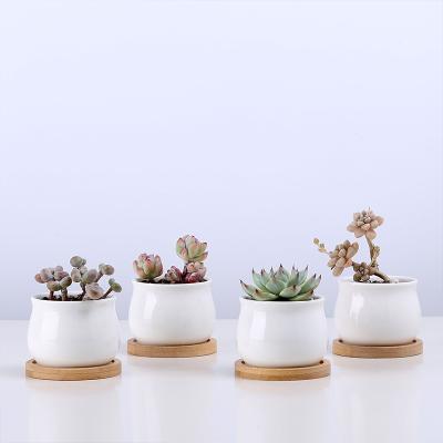 China 2020 Modern Cheap Ceramic Flowerpot Plant Pots Small Cactus Gardening Succulent Pots for sale