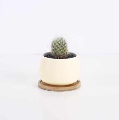 China Modern garden supplies high quality matte yellow glazed ceramic indoor planter small pots for succulent plants bamboo saucers for sale