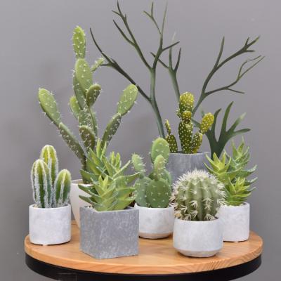 China Simulation Nordic styleartificial cactus decoration small green plant bonsai table decoration for sale