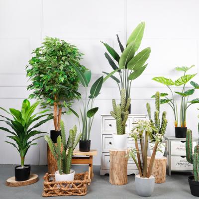 China Hot Selling Decoration Small Fiber Leaf Artificial Fig Tree Artificial Ficosrata Plant For Home Office Decoration for sale