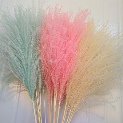 China Natural Ornamental Rose Reed Pampas Flowers Plants Wedding Bouquet Dry Christmas Home Decor for sale