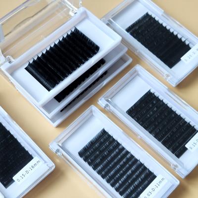 China Long natural where to get Lash Accessories Remover Holder from Lash Extensions Near Me Eyelash for sale