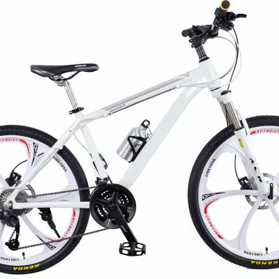 China Racing New Style High Quality Mountain Bike Bicycle With Variable Speed ​​For Youth for sale