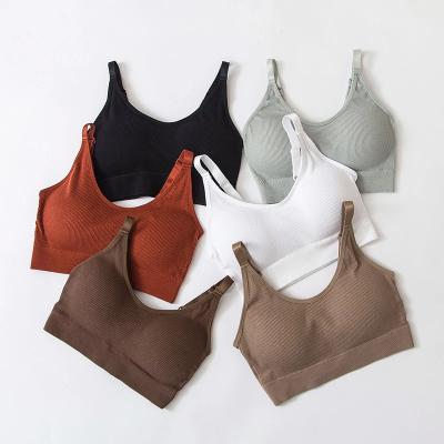 China Viable Underwear Women Gather Top Tube Chest Beauty Back Cotton Section Wrapped Thin Tube No Steel Ring Lingerie Bra for sale