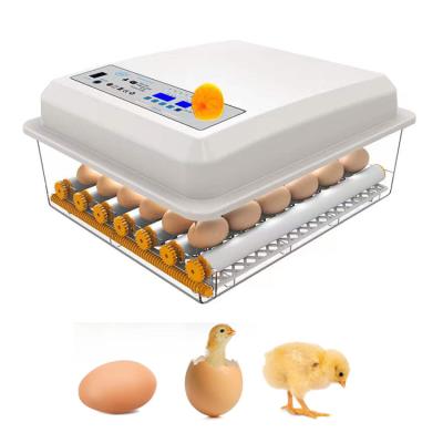 China Full-automatic and multi-functional poultry, quail, ostrich, mini chicken hatchery set machine full-automatic egg incubator for sale for sale