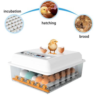 China Farms Factory Best Price 16/36/48/64 Pcs Mini Automatic Chicken Egg Incubator for sale