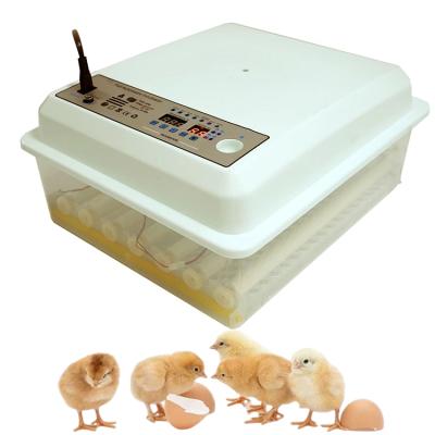 China Fully Automatic High Quality 36 PCS Hatching Rate 98% Automatic Hatching Eggs for sale