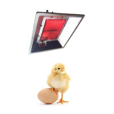 China Farms Hen House Infrared Heaters For Chicken Cages For Sale for sale