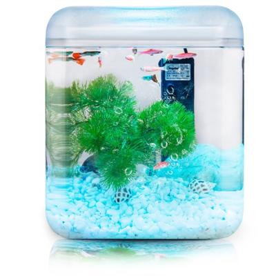 China Morden Customized Acrylic Explosion-Proof Bare Open Aquarium Fish Tank Desktop Aquatic Plant Rectangular Small Tank for sale