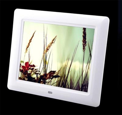 China Best Gift Size Slim 8 Inch Electronic Photo Frame LCD Display Photo Frame With Video Picture Loop for sale