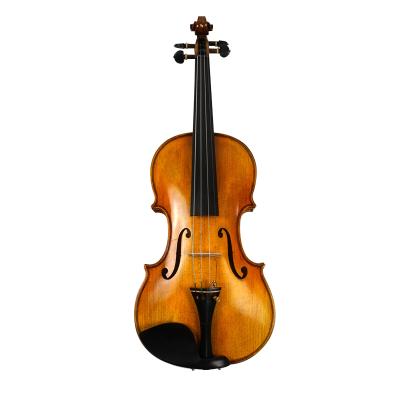 China Customized Violin Brands Electric Professional Music Violin Handmade Painting Workmanship Excellent Quality for sale