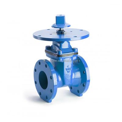 China General Flange Water Gate Valve For Underground Use for sale