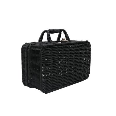 China Multifunctional Plastic Rattan Woven Food Picnic Basket With Lining Outdoor Use for sale